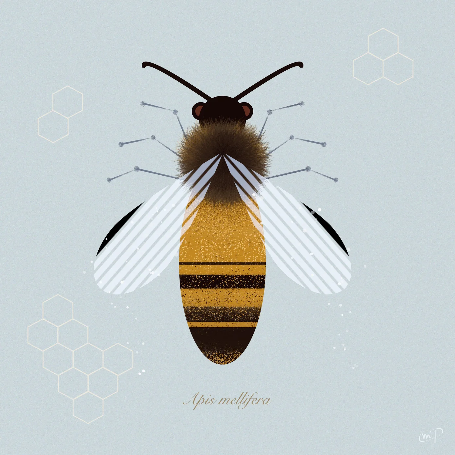 Bee