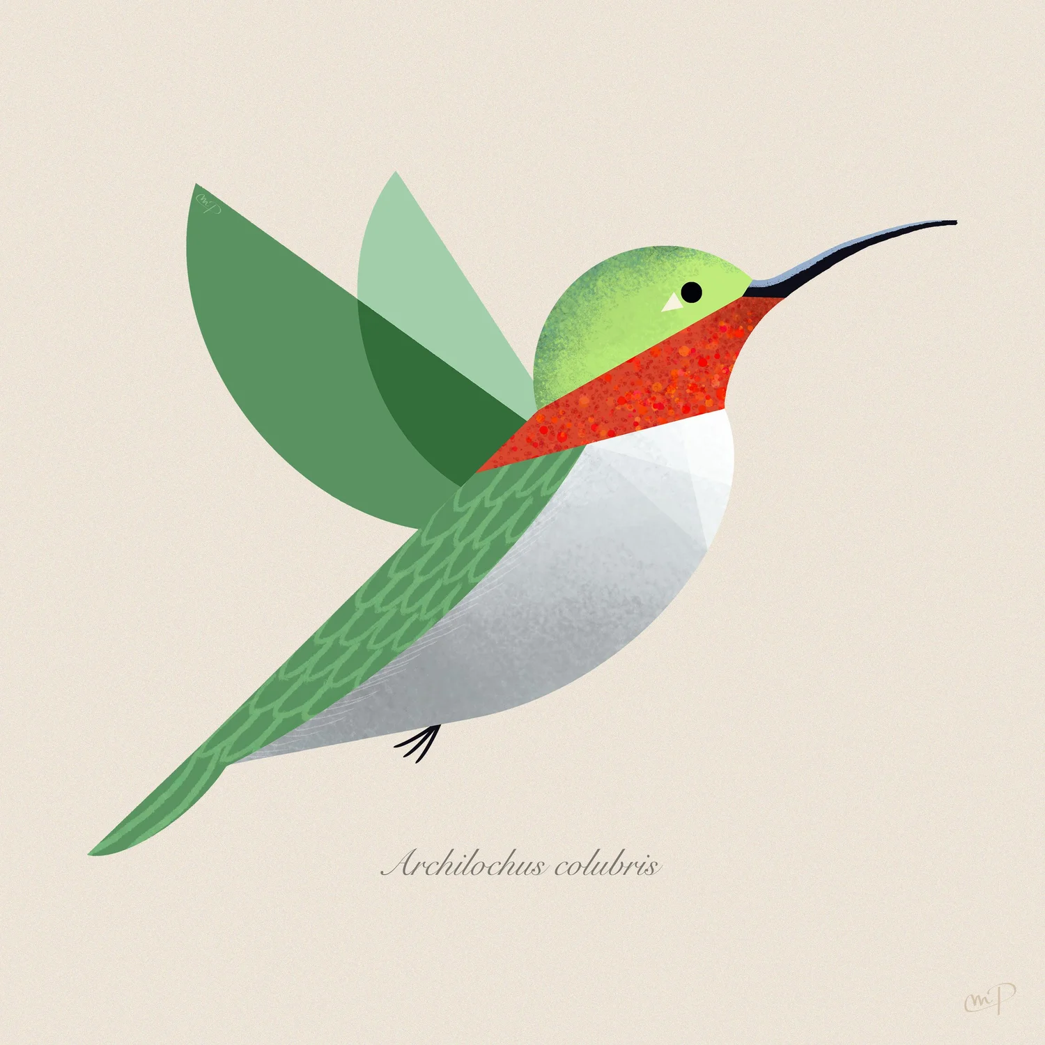 Hummingbird